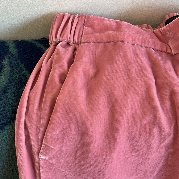J Crew Pink Velvet Pants - Picture 2 of 3